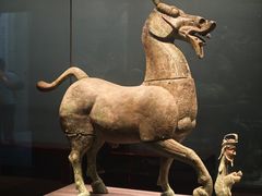 -广西壮族自治区博物馆