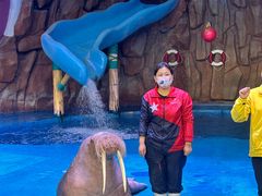 -烟台海昌鲸鲨海洋公园