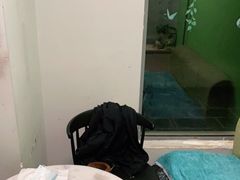 -新世界教育iVEE·英语日语西语(金桥校区)