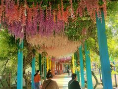 -雪山彩虹谷景区