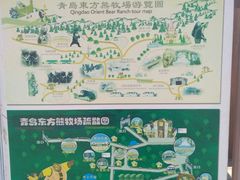 -东方熊牧场