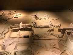 -洛阳周王城天子驾六博物馆