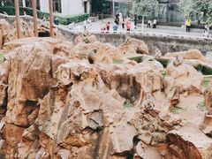 -昆明动物园