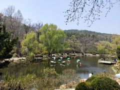 -棒棰岛宾馆景区