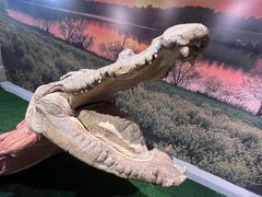 -生命奥秘博物馆