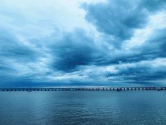 -宝安西湾红树林湿地公园