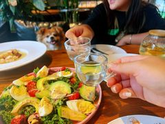 -百好乐宠物友好餐厅(朝外大街店)