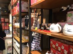 -猫咪博物馆(顶澳仔猫街店)