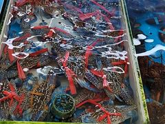 -南沙十九涌渔人码头-南门