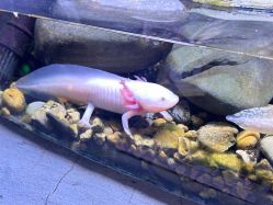 -Zoolung Zoolung动物主题公园(海信广场店)