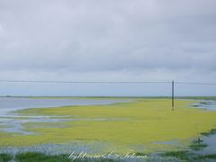 景点-青海湖国家重点风景名胜区