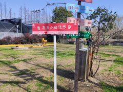 -前小桔亲子创意农场·草莓采摘·露营烧烤
