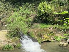 -夏霖九天银瀑风景区
