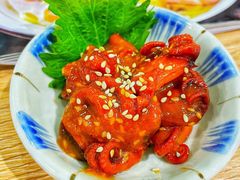 章鱼-万喜拉面