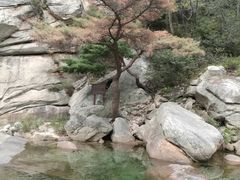 -无染寺