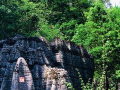 -梭布垭石林景区