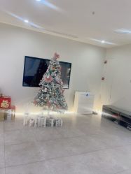 -VE专注问题肌·赛诺龙&科学美肤中心