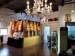 -何顺华吉他沙龙