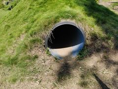 -前小桔亲子创意农场·草莓采摘·露营烧烤