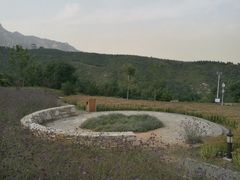 -紫云台香草园