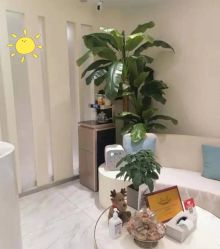 -健身堂科技美肌SPA