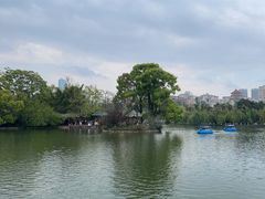 -翠湖公园