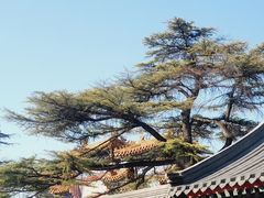 -北京国子监胡同