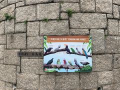 -九龙公园