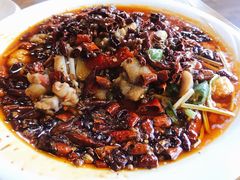 -都江堰石锅鱼