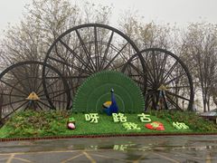 -呀路古热带植物园