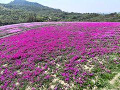 -冶父山国家森林公园