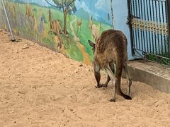 -秦皇岛野生动物园