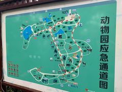 -成都动物园