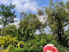 -人民公园(罗湖区)