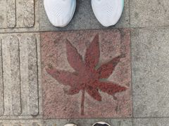 -香山公园