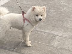 -牛背梁国家森林公园