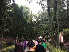 -南岳衡山风景名胜区-南岳大庙