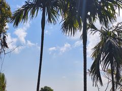 -海南槟榔谷黎苗文化旅游区