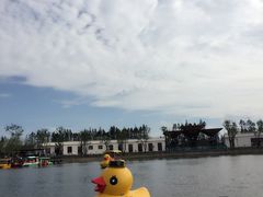 -上海长兴岛郊野公园