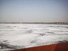 -丁香湖公园