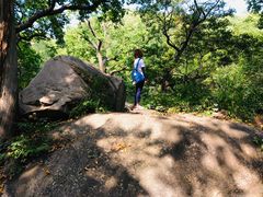 -大岭沟猕猴桃谷风景区