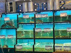 -沈胖子音乐烤吧·炒菜·龙虾(环城东路店)