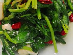 清炒鸡毛菜-卫鼎轩·家宴(水上公园店)