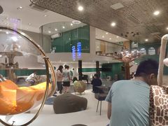 -飞行喵MR PILOT|猫舍·猫咖(静安大融城店)