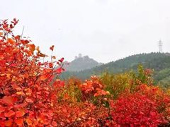 -北京鹫峰国家森林公园
