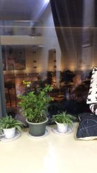 -MOKA HAIR SALON 烫染造型