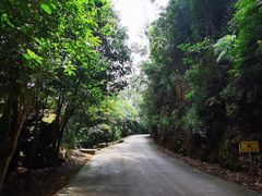 -飞霞风景名胜区