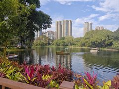 -晓港公园