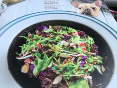 -I HOLIC艾豪丽披萨(KKone店)