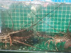 -三亚相缘海鲜·烧烤·糟粕醋(三亚湾店)